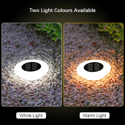 Disk Ground Lights – 1 or 4 Pack